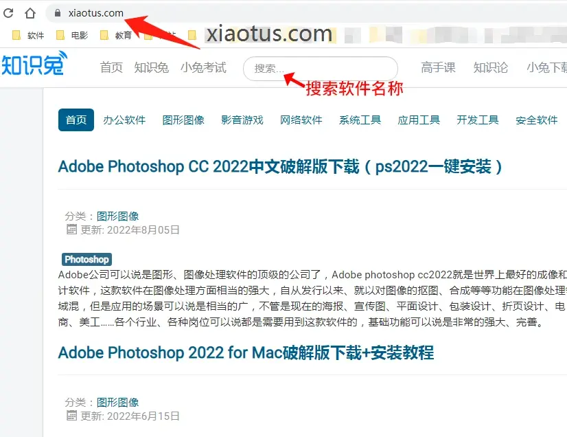 技术科普与决策指南图示